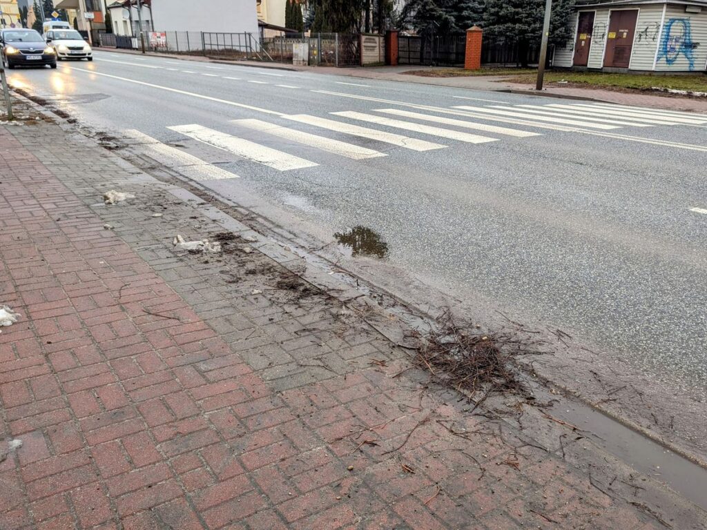 Papiery i gałązki zalegające na krawężniku przy ulicy. 