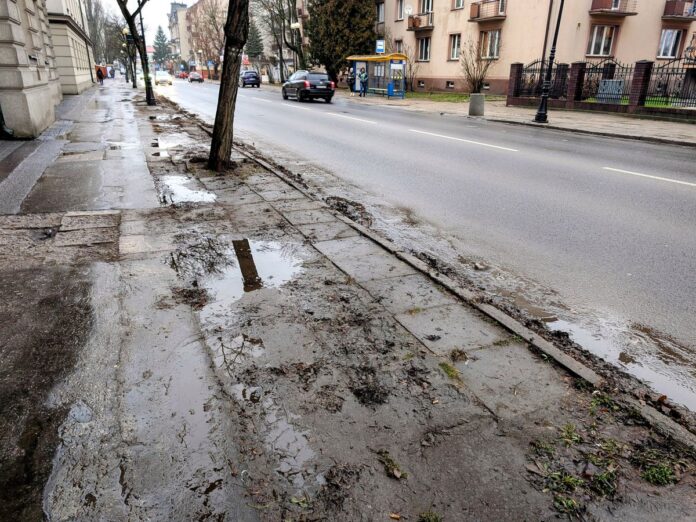 Chodnik i okolice krawężnika zanieczyszczone liśćmi i błotem.